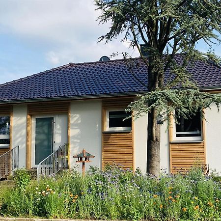 Ferienhaus Urwald Hofgeismar Exterior foto